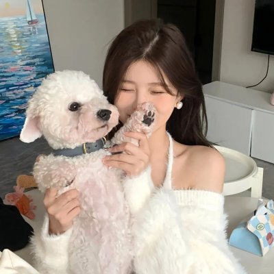 高速婆婆